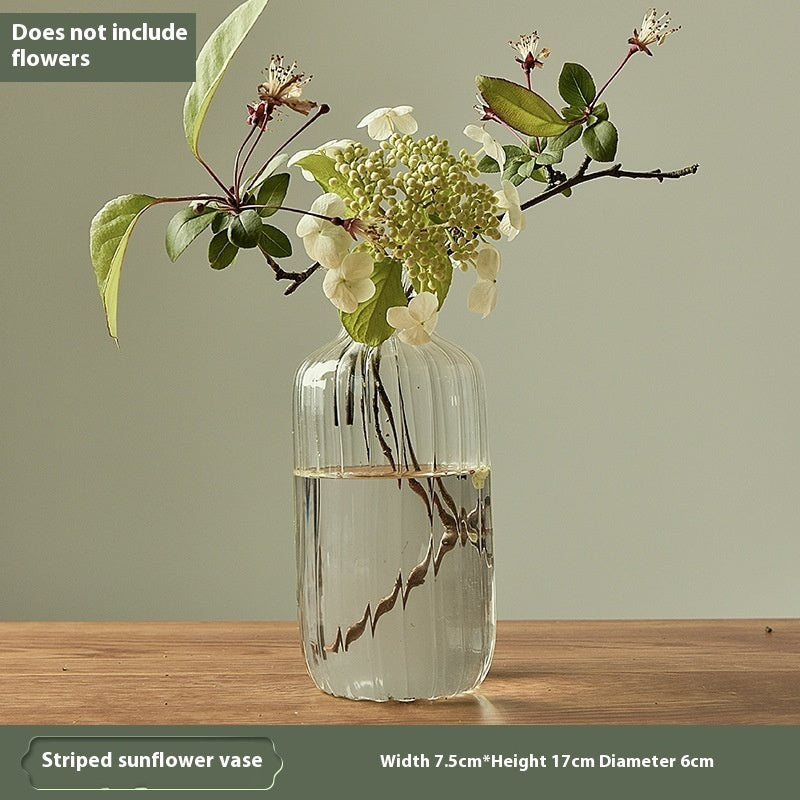 Glass Vase Transparent Ornaments Decorative Flower Arrangement Narrow Mouth